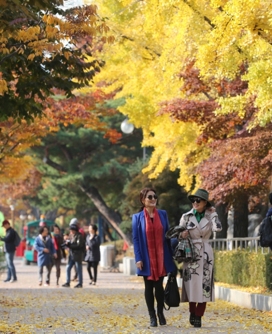 写真 紅葉を楽しむソウル市民 Joongang Ilbo 中央日報