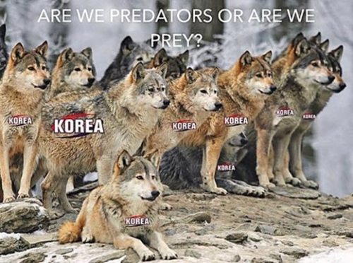 オオカミ群れの上に「ＫＯＲＥＡ」が書かれている写真。「私たちは捕食者なのか、それとも被食者なのか」という文面が書かれている。（写真＝マレー監督のソーシャルメディア）