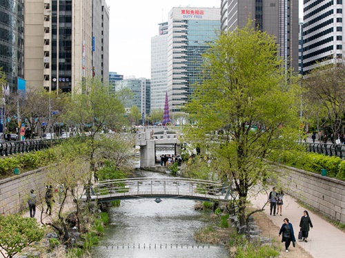 川沿いには多くの草木も。鮮やかな緑の葉をつけ始め、暖かな春の訪れを感じさせてくれます。