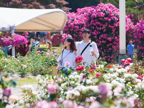 「ソウル大公園」は、植物園「テーマガーデン」のほか、動物園や遊園地「ソウルランド」、コンテンポラリーアートを集めた国立現代美術館がある一大文化公園。家族連れやカップルに人気の行楽地です。