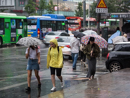 昨日から梅雨入りした韓国。ソウルを含む首都圏では、今日までの２日間で降水量が１２０ｍｍと激しい雨が予想されています。