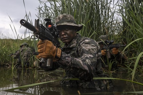 韓国の海兵捜索隊が敵陣を偵察する訓練をしている。（写真＝海兵隊）