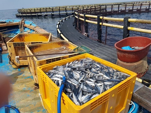 写真提供＝韓国海洋水産部
