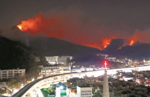 ２日午後、韓国釜山海雲台山の火事拡大で住民が緊急避難した。