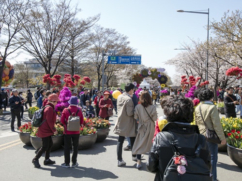 ４月５日（金）から４月１１日（木）まで「永登浦（ヨンドゥンポ）　汝矣島春の花祭り」が開催中です。期間中は路上パフォーマンス公演や夕方からはライトアップが実施されます。