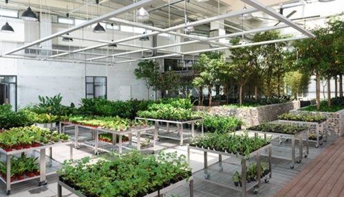 ＮＡＶＥＲのデータセンター「閣」ではサーバールームから出た廃熱により温室で植物を育てている。（写真＝ネイバー）