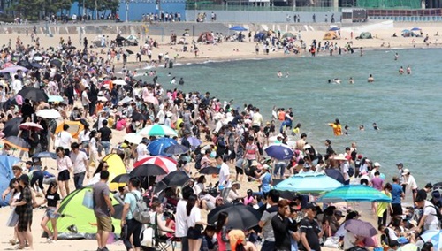 ２６日午後、釜山の海雲台海水浴場で暑さをしのぐ避暑客たち。