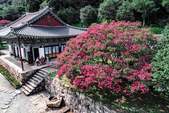 全羅南道康津の白蓮寺