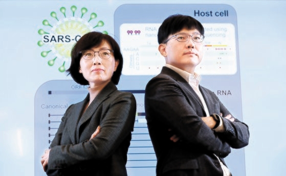 新型コロナウイルスの原因病原体であるＳＡＲＳコロナウイルス－２のＲＮＡトランスクリプトームを世界で初めて分析した共同研究チームで、韓国ソウル大学生命科学部のキム・ピッネリ教授（左）とチャン・ヘシク教授。今回の研究は計算生物学者であるチャン教授の寄与が決定的だった。チャン教授は第１１回洪ジン基創造人賞科学部門受賞者だ。ビョン・ソング記者