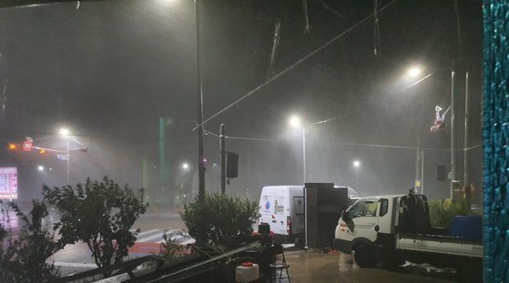 ３日午前、嶺南（ヨンナム）地域を強打した台風９号の影響で、慶尚北道蔚珍（キョンサンブクド・ウルチン）の蓬坪（ボンピョン）海水浴場近隣の街路樹が倒れている。キム・ユンホ記者