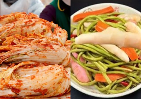 韓国伝統料理のキムチ（左）と中国漬物野菜の泡菜（パオツァイ）。中国が２０２０年末に泡菜の製造法を国際標準化機構に登録して一部からは「キムチの元祖は泡菜」というごり押し主張が提起された。［写真　中央フォト］