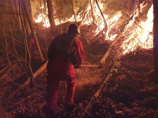 ４～５日に東海岸をはじめとする江原道各地を襲った山火事の大部分が鎮火しないまま夜間対応体制に転換された。写真は４日に江原道の山火事地域で山林庁山林航空本部の隊員が地上消火作業に向かう姿。［写真　山林庁］