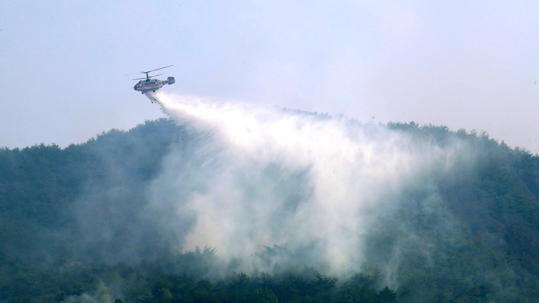 ヘリコプターによる山火事消火活動。［写真　密陽市］