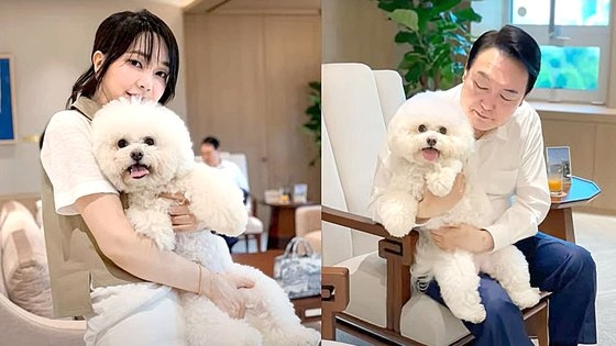尹錫悦大統領と金建希夫人がペットの犬たちと竜山の大統領室で過ごしている姿。［写真　金夫人ファンクラブ「建希サラン」］