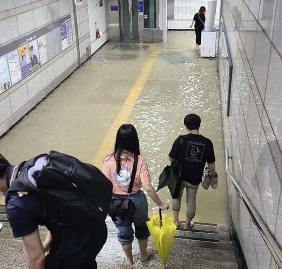 大雨で都心に運ばれてきたスッポン 魚 会社員は素足で出勤 韓国 Joongang Ilbo 中央日報