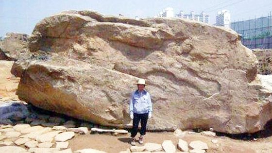 コラム】支石墓の毀損、韓国・金海市の惨劇 | Joongang Ilbo | 中央日報
