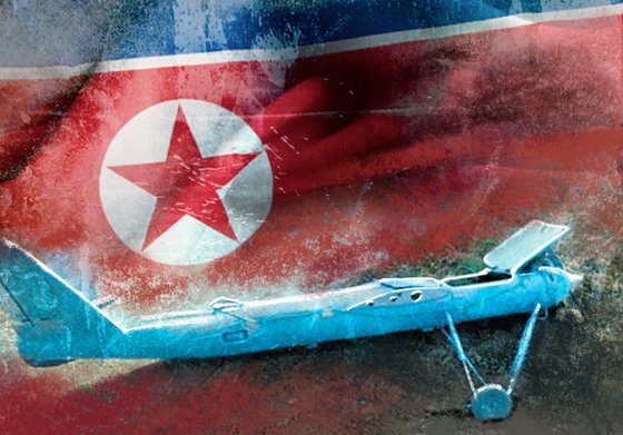 韓国軍、北朝鮮無人機への対応に狩猟用ワシ部隊を検討