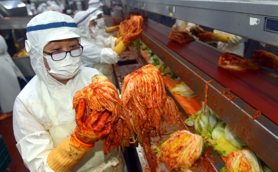 昨年１２月、忠清北道清州市所在のキムチ製造業者でキムチを作っている。フリーランサー　キム・ソンテ