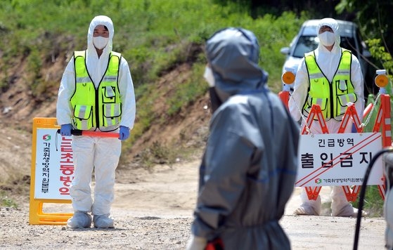 １１日、口蹄疫が４年４カ月ぶりに忠清北道清州の韓牛農家で３件も発生し、防疫当局が非常事態になった。同日午後、口蹄疫が発生した忠清北道清州市清原区北二面（チョンウォング・プクイミョン）の韓牛農場で、防疫当局関係者らが外部の人の出入りを統制している。キム・ソンテ記者