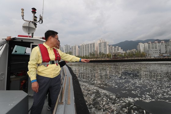 死んだイワシが浮かんでいる昌原市馬山湾。［写真　昌原市］