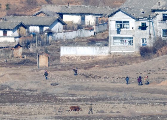 北朝鮮住民らが土を運んでいる姿。［写真　聯合ニュース］