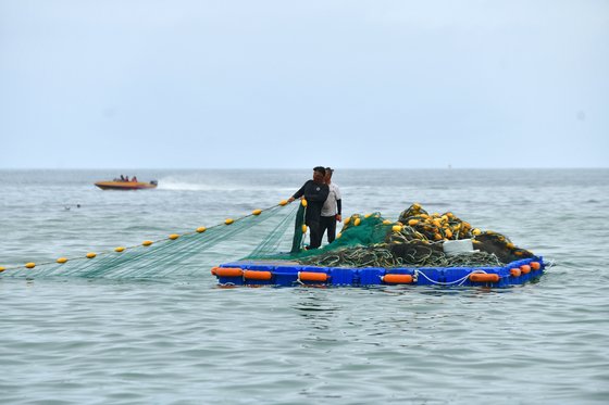８日に海開きする束草海水浴場がクラゲとサメを除けるネットを設置した。［写真　束草市］