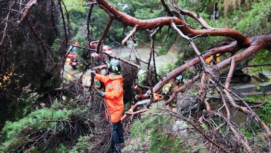 写真＝忠南消防本部