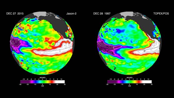  米航空宇宙局（ＮＡＳＡ）傘下ジェット推進研究所が２０１５年１２月に公開した２０１５年のエルニーニョと１９９７年のエルニーニョの衛星分析イメージ［写真　ＮＡＳＡ］