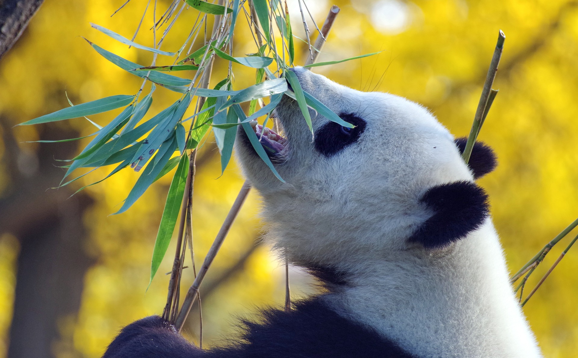 資料写真（写真は記事の特定内容と関係ありません）［Ｐｉｘａｂａｙ］