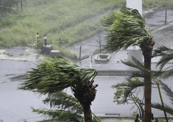台風６号の上陸で雨風が吹く沖縄［写真　ＡＰ＝聯合ニュース］