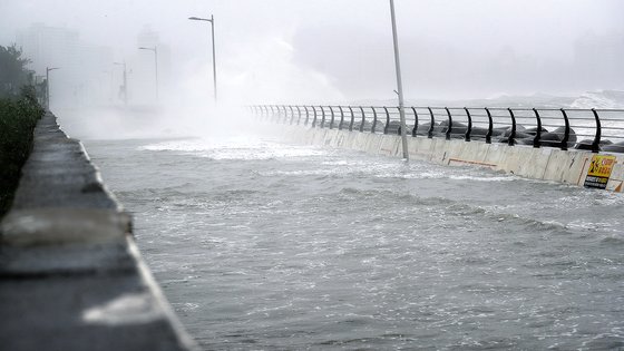 台風６号の影響を受け、巨大な波によって道路が冠水した釜山。［写真　ニュース１］