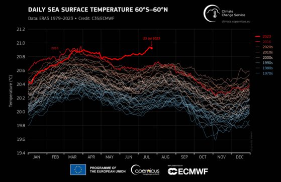 地球海水面温度グラフを見ると１９７０年代（下の方の青色のグラフ）以降、温度が上昇を続け、特に今年（一番上の赤色）は急激な上昇を示している。［写真　世界気象機関（ＷＭＯ）］