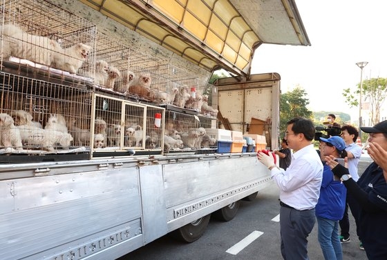 救助された犬を見つめる京畿道の金東兗知事。［写真　京畿道］