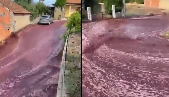 ポルトガルの住宅街に溢れ出る２２０万リットルのワイン［写真　Ｘ（旧ツイッター）キャプチャー］