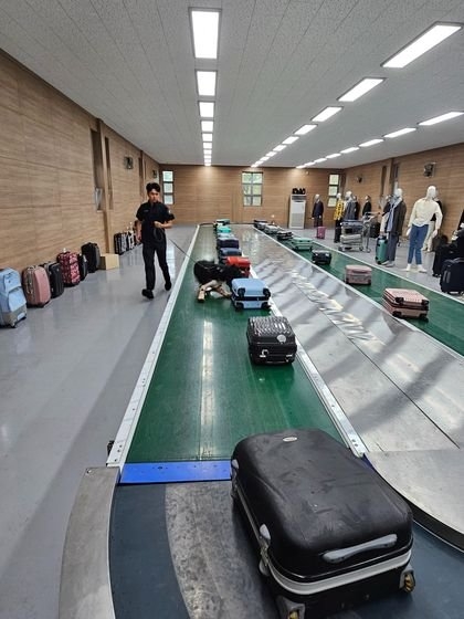 先月２０日、探知犬訓練センター内の模擬空港訓練場でトランクの中に隠された麻薬を探している麻薬探知犬「アルファ」。［写真　仁川＝チョン・ジョンフン記者］
