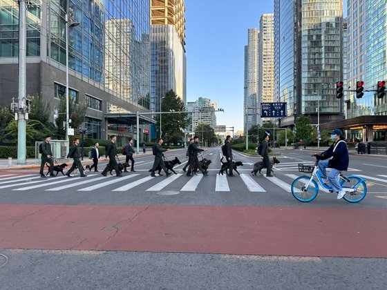 １５日、北京全域の警戒が強化されている中で、都心のビル街で警察犬を連れた私服警察が横断歩道を渡っている。シン・ギョンジン特派員