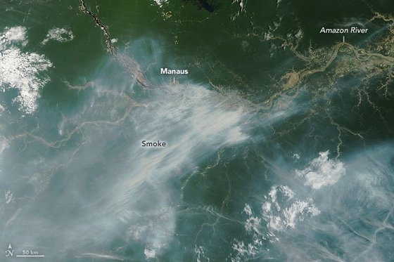 １１日（現地時間）、米航空宇宙局（ＮＡＳＡ）衛星が撮影したアマゾン熱帯雨林地域の様子。山火事による煙がマナウスを含むアマゾン地域を覆っている。［写真　ＮＡＳＡ］