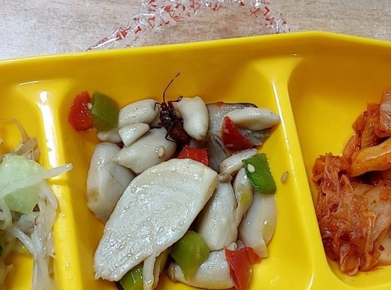 ２３日、慶尚南道昌原市（チャンウォンシ）の高校の委託給食から虫が発見された。　［ＤＣインサイド　キャプチャー］