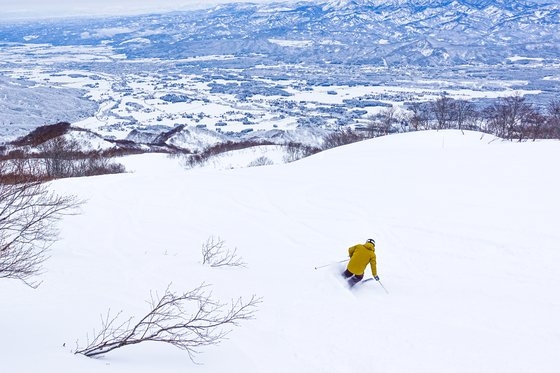 日本は上質の雪質を楽しむことができるスキー場が多いため冬ならスキー旅行に出かける韓国人が多い。写真は新潟ロッテアライリゾート。チェ・スンピョ記者