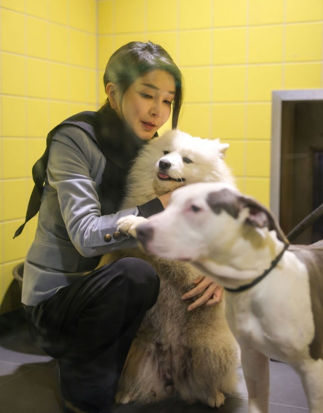 ​虐待された子犬をなでる金建希夫人。