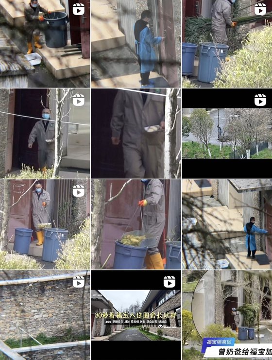 中国ファンがこっそりと撮影した四川省臥龍神樹坪基地内部の様子。［写真　ＳＮＳキャプチャー］