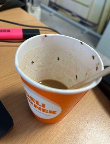 虫がうごめくスペインのパルマ空港内の自販機コーヒー［ウルティマホラ　キャプチャー］