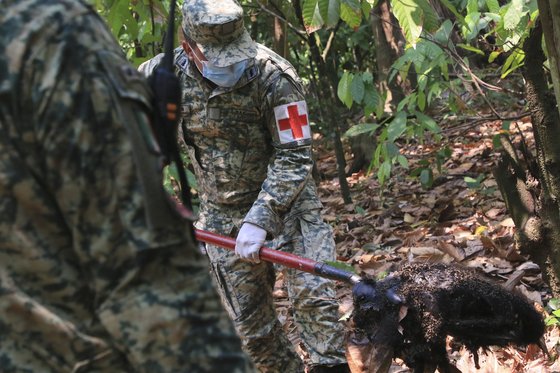 サルの死骸を運ぶメキシコ軍将兵／ＡＰ＝聯合ニュース