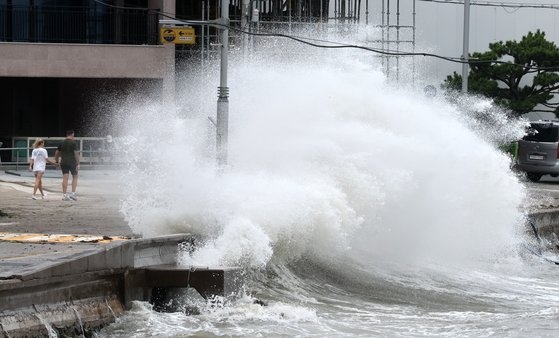 台風６号の影響で釜山地域に台風警報が発令された昨年８月１０日、釜山市機張郡の道路周辺の防波堤に激しい波が押し寄せている。ソン・ボングン記者