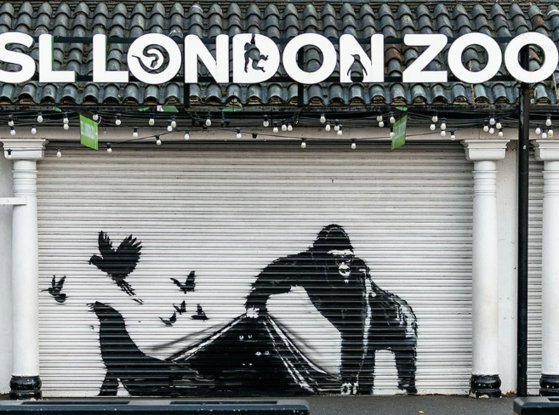 １３日（現地時間）、ロンドン北部カムデンにあるロンドン動物園のシャッターに描かれたバンクシーの動物シリーズ最終作。［写真　インスタグラム］