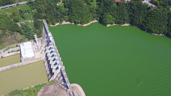 忠清北道清州市の大清湖が３日、藻類ブルームの発生によって緑色に変わっている。［写真　韓国水資源公社］