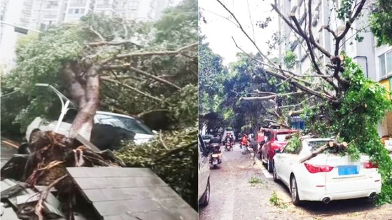 ４日（現地時間）、香港サウスチャイナ・モーニング・ポスト（ＳＣＭＰ）、中国の極目新聞、瀟湘晨報など外信の報道によると、前日（３日）中国重慶で人工降雨作業を行った後、暴風雨を伴う異常気象現象が現れた。［微博　キャプチャー］