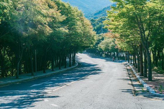 八公山（パルゴンサン）の資料写真。［写真　韓国観光公社］