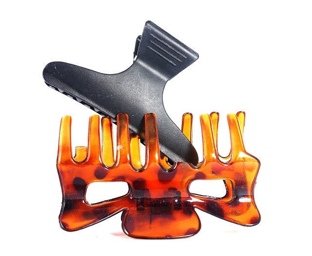 ヘアクリップの資料写真［Ｐｉｘａｂａｙ］