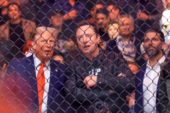   ＵＦＣの競技を観戦するトランプ氏とマスク氏。［写真　ＡＦＰ＝聯合ニュース］